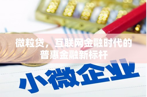 岱山微粒贷，互联网金融时代的普惠金融新标杆