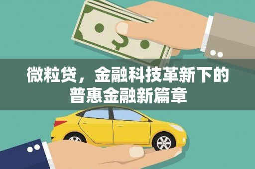岱山微粒贷，金融科技革新下的普惠金融新篇章
