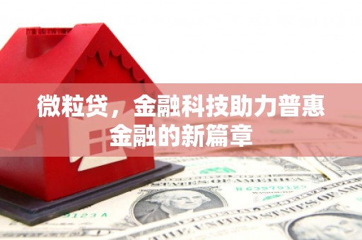 岱山微粒贷，金融科技助力普惠金融的新篇章