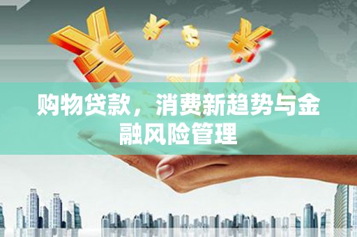 岱山购物贷款，消费新趋势与金融风险管理