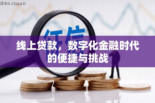 岱山线上贷款，数字化金融时代的便捷与挑战
