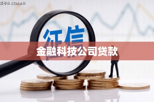 岱山金融科技公司贷款