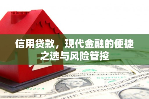 岱山信用贷款，现代金融的便捷之选与风险管控