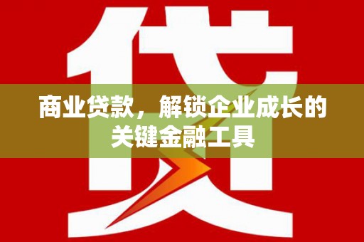 岱山商业贷款，解锁企业成长的关键金融工具