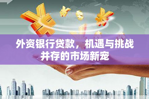 岱山外资银行贷款，机遇与挑战并存的市场新宠