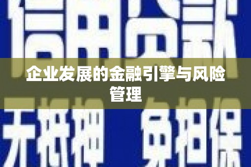 岱山企业发展的金融引擎与风险管理