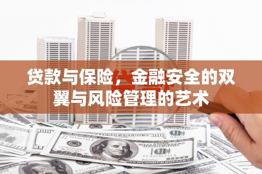 岱山贷款与保险，金融安全的双翼与风险管理的艺术