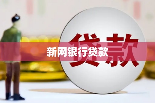 岱山新网银行贷款