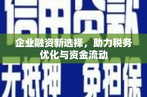 岱山企业融资新选择，助力税务优化与资金流动