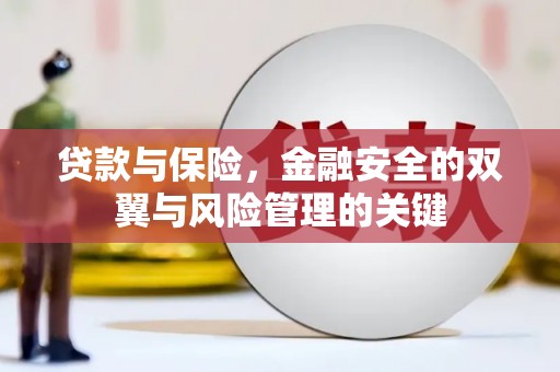 岱山贷款与保险，金融安全的双翼与风险管理的关键