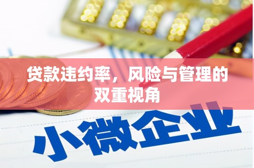 岱山贷款违约率，风险与管理的双重视角