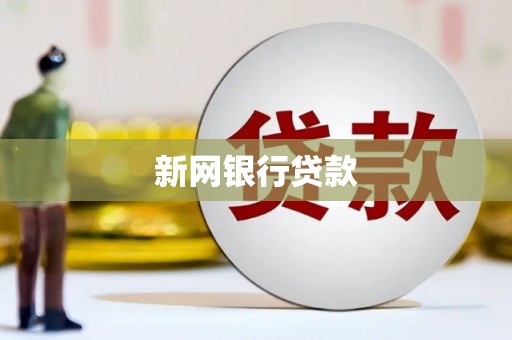 岱山新网银行贷款