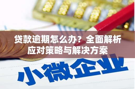 岱山贷款逾期怎么办？全面解析应对策略与解决方案