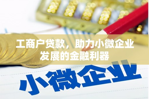 岱山工商户贷款,助力小微企业发展的金融利器 岱山工商户贷款,助力小微企业发展的金融利器