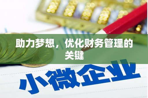 岱山助力梦想，优化财务管理的关键
