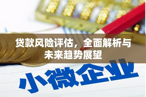 岱山贷款风险评估，全面解析与未来趋势展望