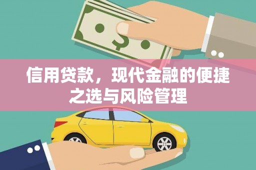 岱山信用贷款，现代金融的便捷之选与风险管理