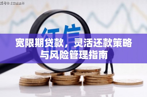 岱山宽限期贷款，灵活还款策略与风险管理指南