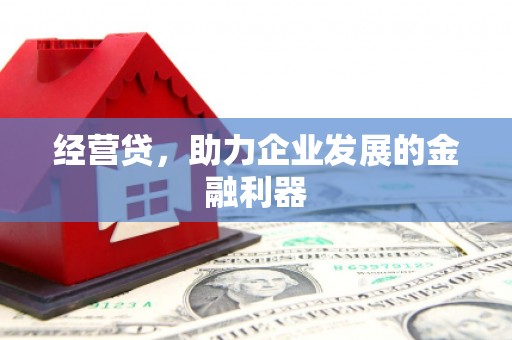 岱山经营贷，助力企业发展的金融利器