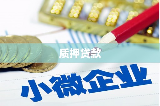 岱山质押贷款