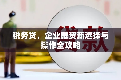 岱山税务贷，企业融资新选择与操作全攻略