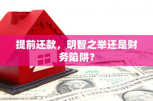 岱山提前还款，明智之举还是财务陷阱？