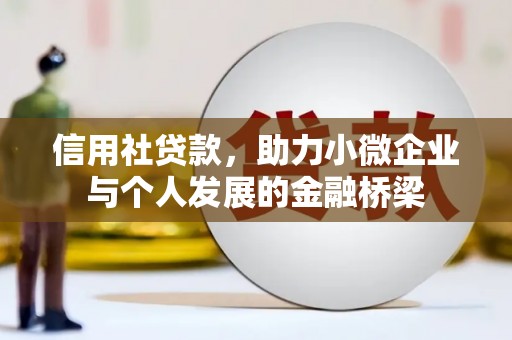岱山信用社贷款，助力小微企业与个人发展的金融桥梁