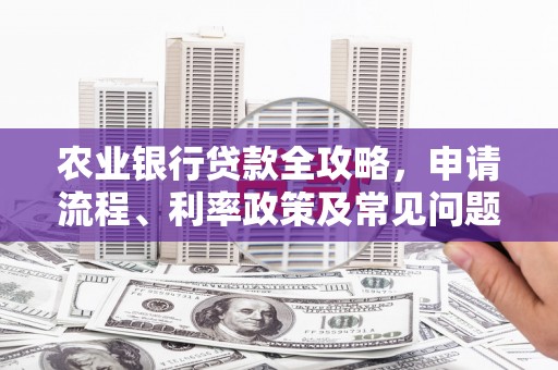 岱山农业银行贷款全攻略，申请流程、利率政策及常见问题解析