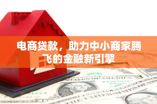 岱山电商贷款，助力中小商家腾飞的金融新引擎
