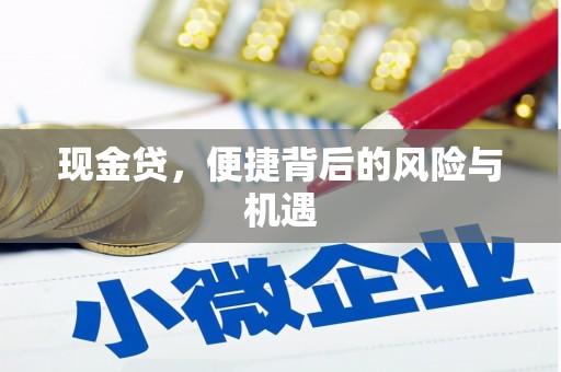 岱山现金贷，便捷背后的风险与机遇
