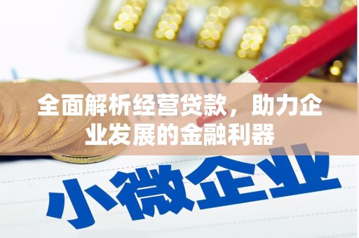 岱山全面解析经营贷款，助力企业发展的金融利器