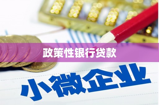 岱山政策性银行贷款