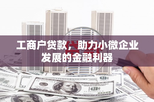 岱山工商户贷款，助力小微企业发展的金融利器