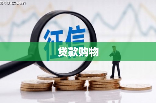 岱山贷款购物