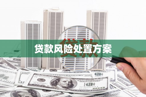 岱山贷款风险处置方案