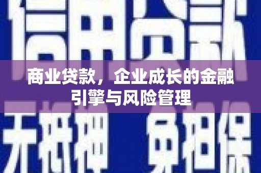 岱山商业贷款，企业成长的金融引擎与风险管理