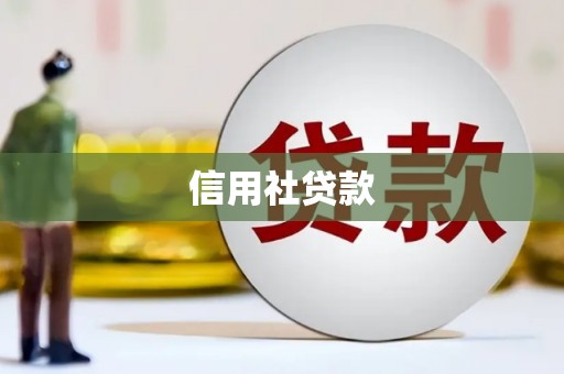 岱山信用社贷款