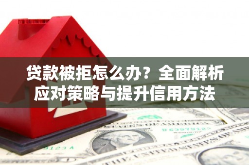 岱山贷款被拒怎么办？全面解析应对策略与提升信用方法