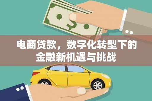 岱山电商贷款，数字化转型下的金融新机遇与挑战