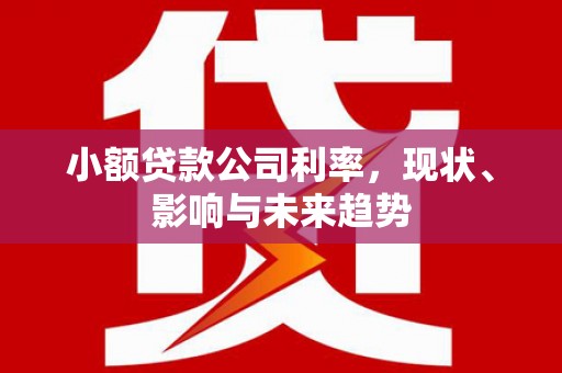 岱山小额贷款公司利率，现状、影响与未来趋势