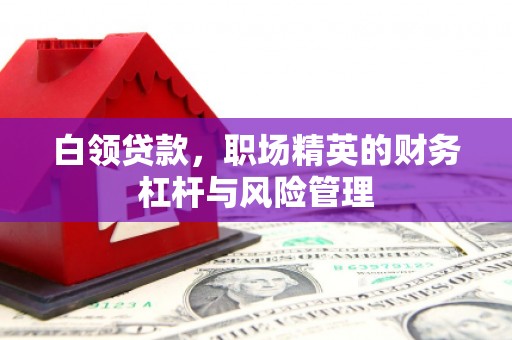 岱山白领贷款，职场精英的财务杠杆与风险管理