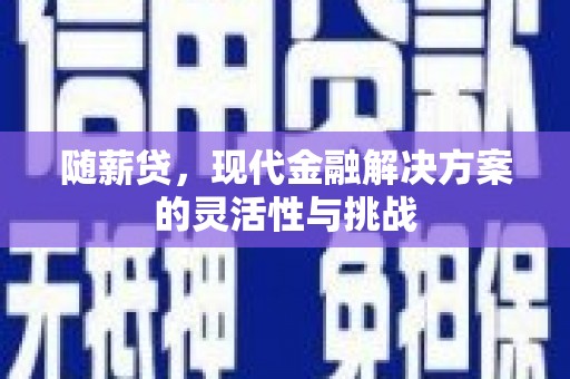 岱山随薪贷，现代金融解决方案的灵活性与挑战