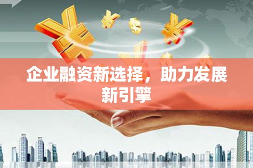 岱山企业融资新选择，助力发展新引擎