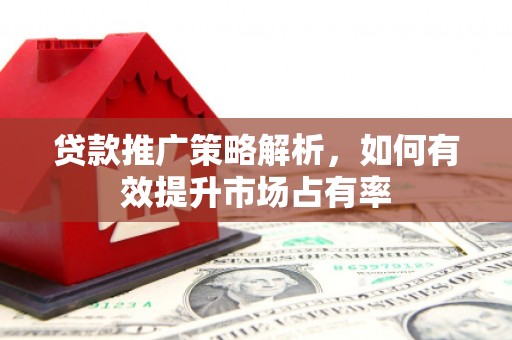岱山贷款推广策略解析，如何有效提升市场占有率