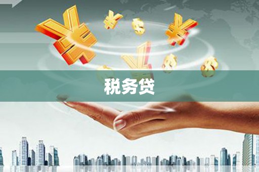 岱山税务贷