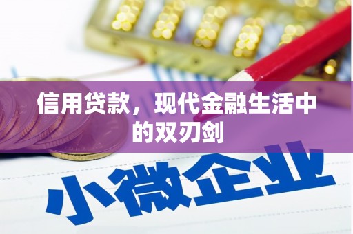 岱山信用贷款，现代金融生活中的双刃剑