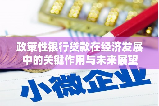 岱山政策性银行贷款在经济发展中的关键作用与未来展望