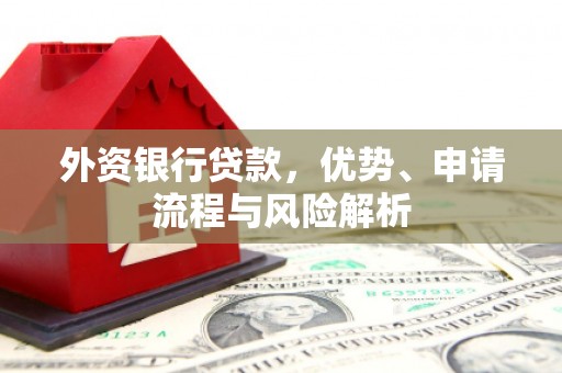 岱山外资银行贷款，优势、申请流程与风险解析