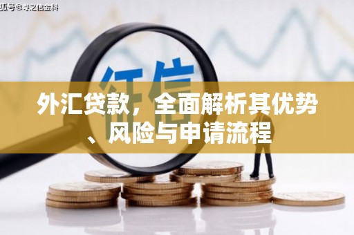 岱山外汇贷款，全面解析其优势、风险与申请流程