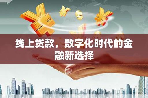 岱山线上贷款，数字化时代的金融新选择